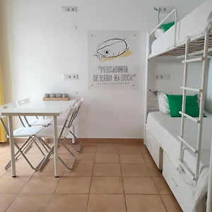 https://racing-mackerel-hostel.hotelaalgarve.com